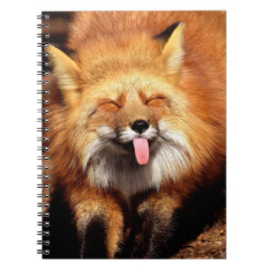 Cuaderno El Fox divertido que lo pega es lengua hacia fuera