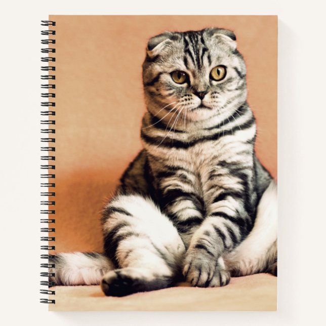Cuaderno El Gatito Cute Se Extiende (Anverso)