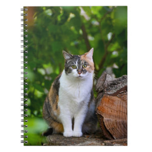 Cuaderno El gato