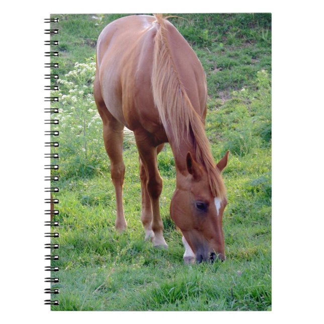 Cuaderno El Gelding del alazán (Frente)