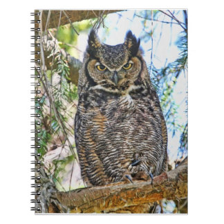 Cuaderno El gran mirar fijamente del búho de cuernos