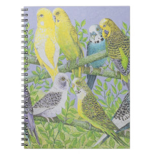 Cuaderno El hablar dulce