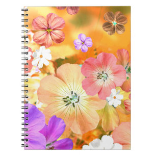 Cuaderno El hada saldrá pronto 3