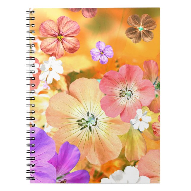 Cuaderno El hada saldrá pronto 3 (Frente)