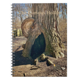 Cuaderno El Hueco Curioso
