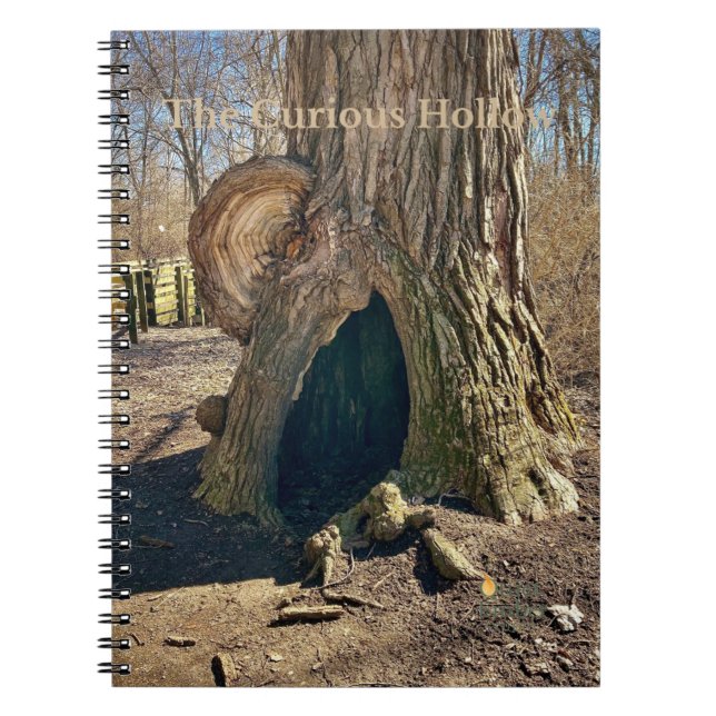 Cuaderno El Hueco Curioso  (Frente)