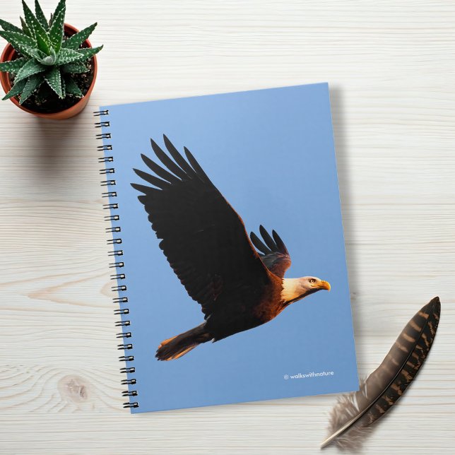 Cuaderno El impresionante águila calva en el vuelo invernal (Breathtaking Bald Eagle in Winter Sunset Flight Journal Cover Photo)