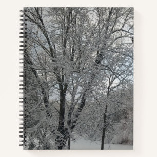 Cuaderno El invierno en el Sketchbook de la AP