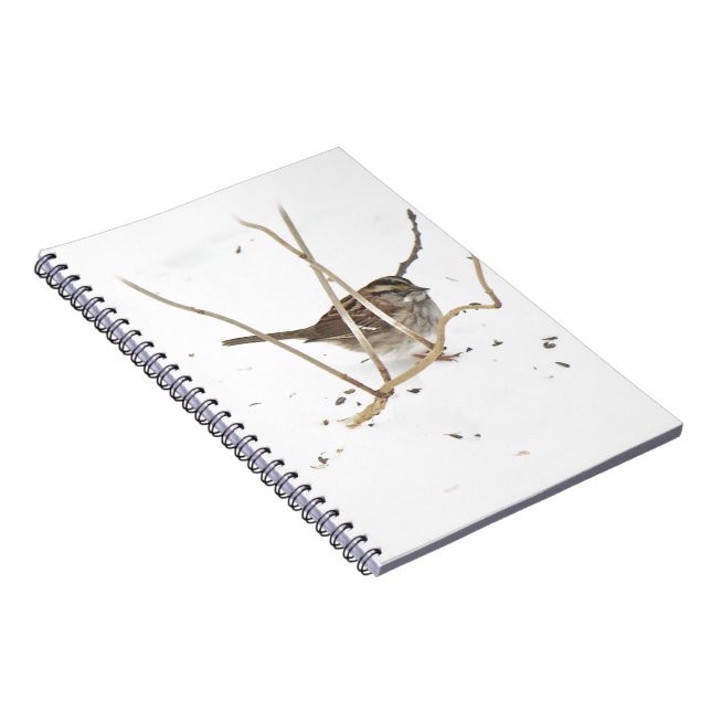 Cuaderno El invierno y el resplandor (Lado Derecho)