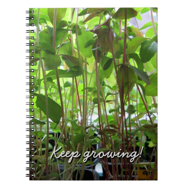 Cuaderno El jardinero guarda el crecer del texto del (Frente)