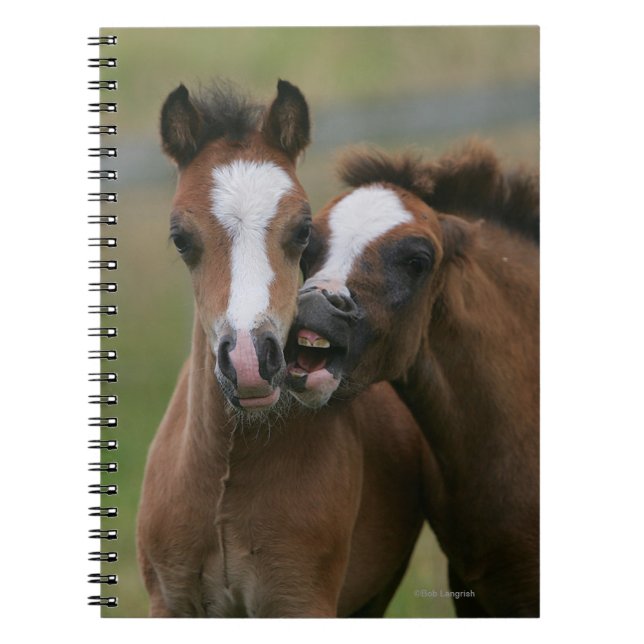 Cuaderno El jugar de los potros (Frente)