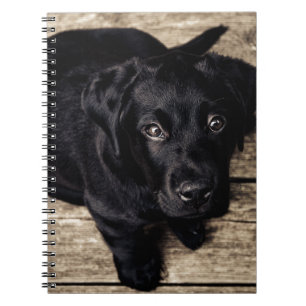 Cuaderno El Labrador Negro recupera una pipa en la madera