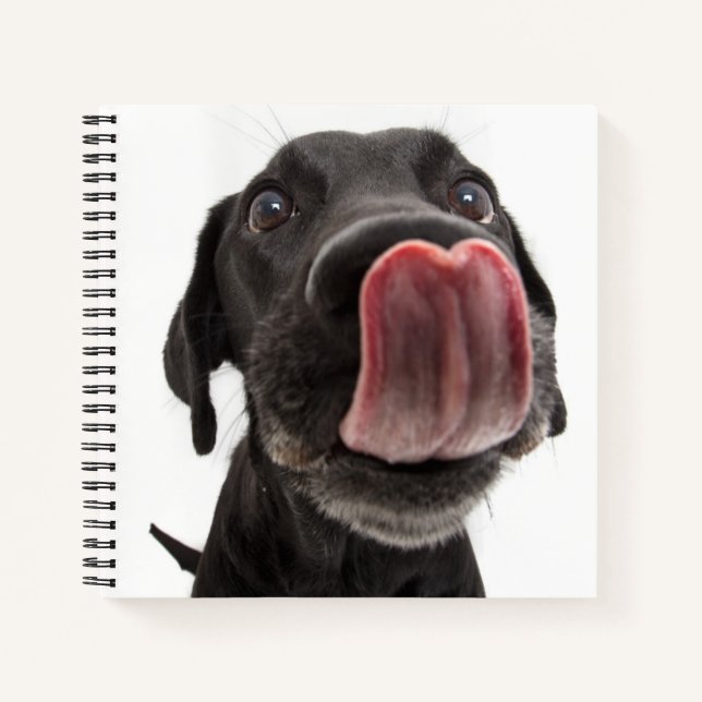 Cuaderno El labrador negro se pega la nariz (Anverso)