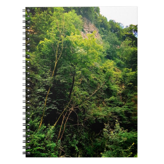 Cuaderno El lado de los árboles (Frente)