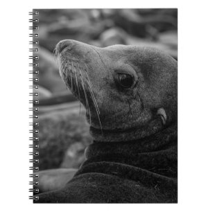 Cuaderno El León del Mar mirando hacia atrás - Una linda fo