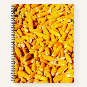 Cuaderno El maíz en la mazorca