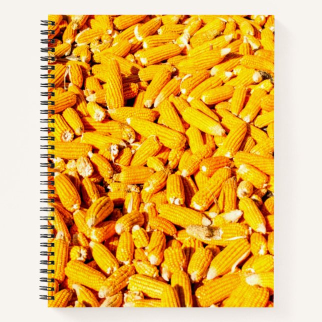 Cuaderno El maíz en la mazorca (Anverso)