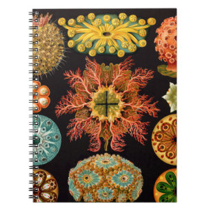Cuaderno El mar arroja a chorros el cuadrado