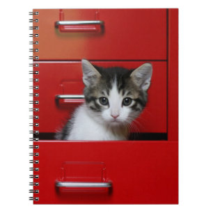 Cuaderno El mirar a escondidas del gatito