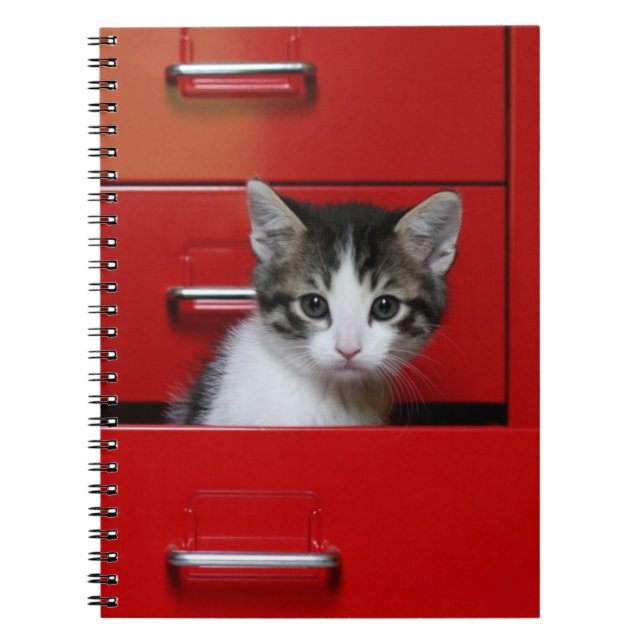 Cuaderno El mirar a escondidas del gatito (Frente)
