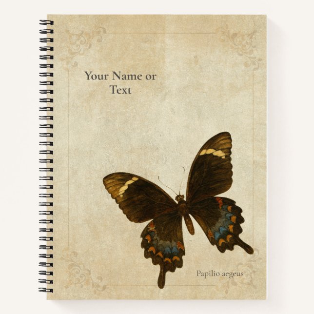 Cuaderno El Monarca de las Mariposas: Orchard Swallowtail  (Anverso)