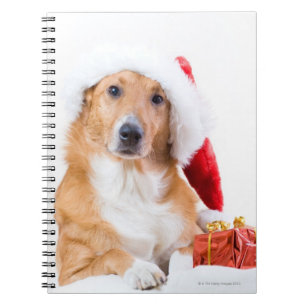 Cuaderno El navidad persigue con la asta y los regalos