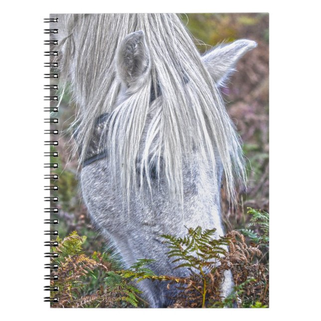 Cuaderno El nuevo bosque blanco silvestre que hace una paja (Frente)