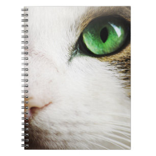 Cuaderno El ojo de gato