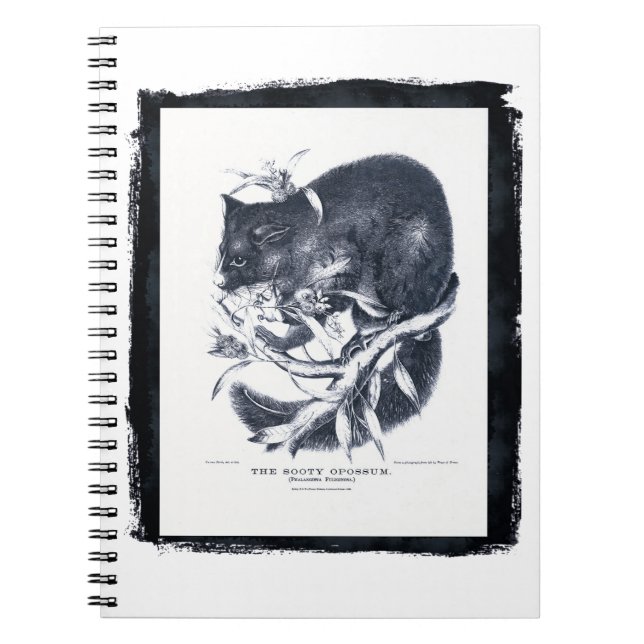 Cuaderno El Opossum soososo (Frente)
