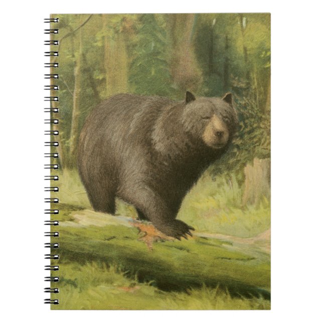 Cuaderno El oso negro pisando un tronco de árbol (Frente)