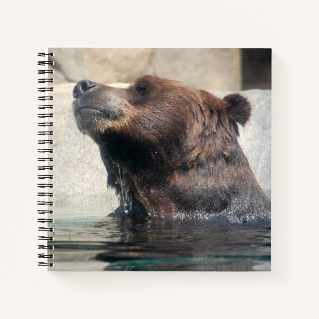 Cuaderno El oso pardo suave en el agua (Anverso)