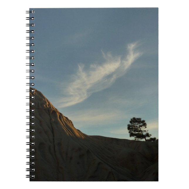 Cuaderno El paisaje de Lone Torrey Pine California Sunset (Frente)