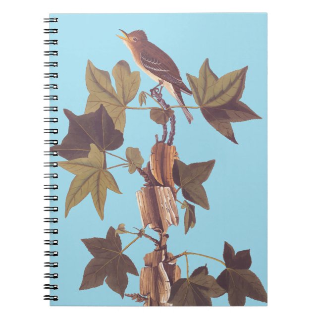 Cuaderno El pájaro del Flycatcher del Sendero Audubon (Frente)