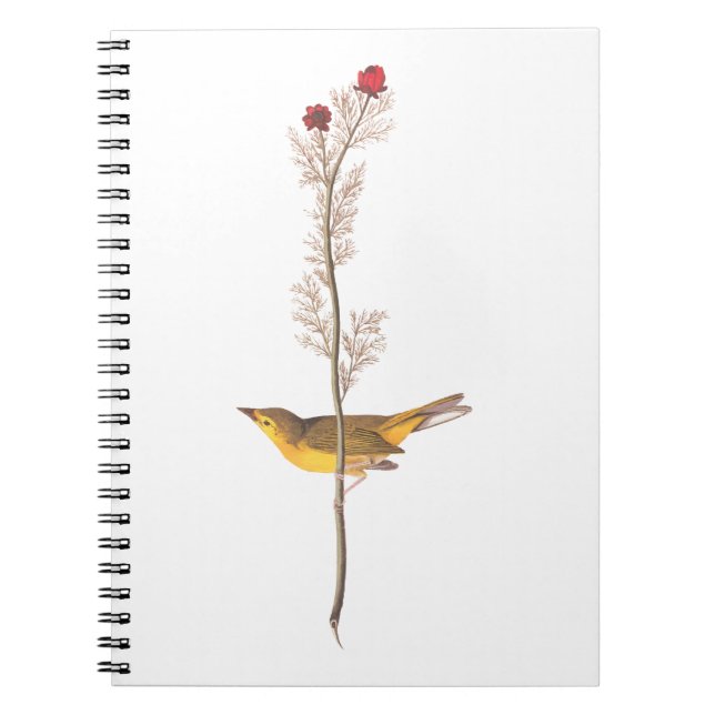 Cuaderno El pájaro embrujado de Audubon sobre la flor roja (Frente)