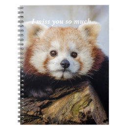 Cuaderno El Panda Rojo Cuerdo Te Extraña Tanto
