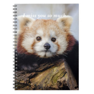 Cuaderno El Panda Rojo Cuerdo Te Extraña Tanto