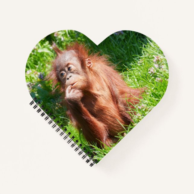 Cuaderno El pensamiento de la joven orangután (Anverso)