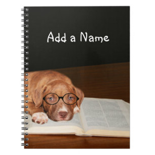Cuaderno El perrito de Pitbull lee