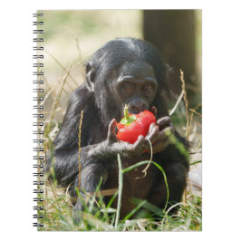Cuaderno El picnic de Bonobo