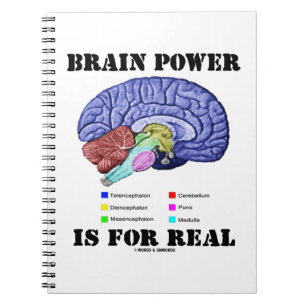Cuaderno El Poder del Cerebro es Real Anatomía del Cerebro