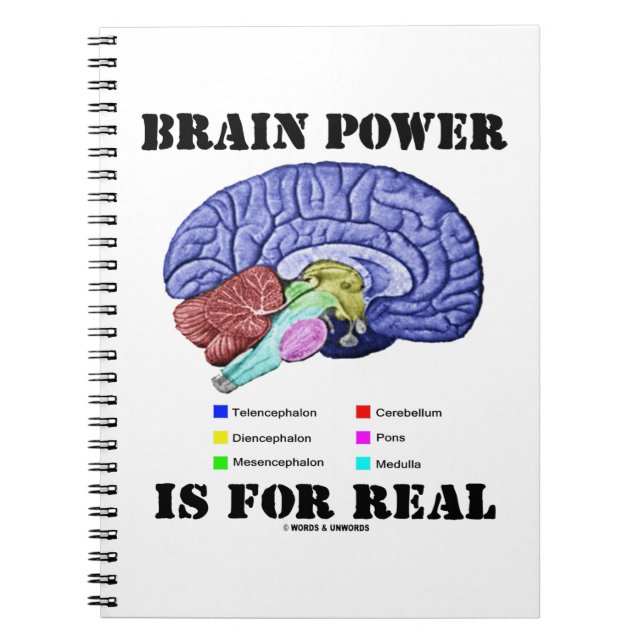 Cuaderno El Poder del Cerebro es Real Anatomía del Cerebro  (Frente)
