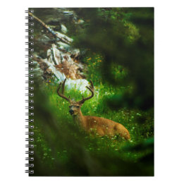 Cuaderno El príncipe forestal