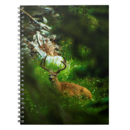 Cuaderno El príncipe forestal