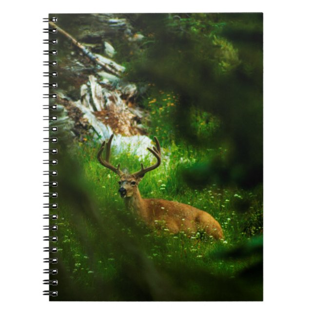 Cuaderno El príncipe forestal (Frente)
