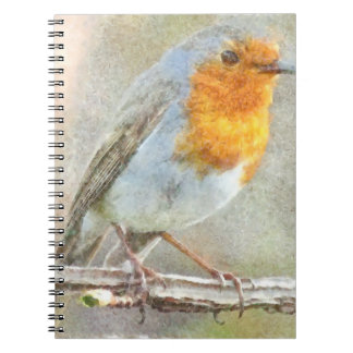 Cuaderno El Robin Es Una Acuarela Gabriel