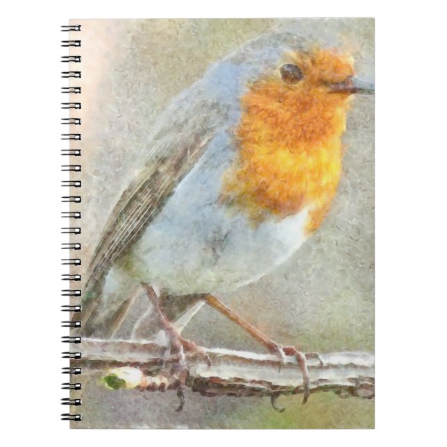 Cuaderno El Robin Es Una Acuarela Gabriel (Frente)