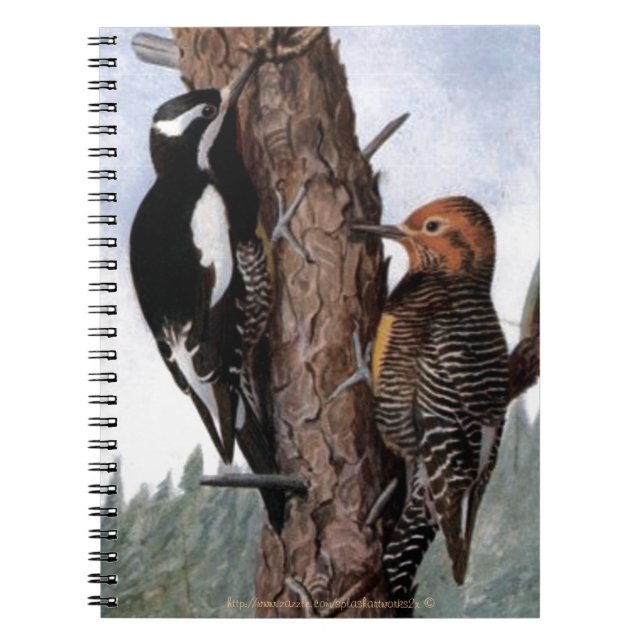 Cuaderno "El Sapsucker de Williamson" (Frente)