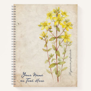 Cuaderno El Secreto del Solsticio de Verano: Hypericum Perf