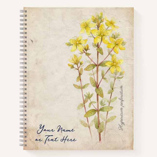 Cuaderno El Secreto del Solsticio de Verano: Hypericum Perf (Anverso)
