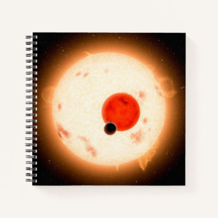 Cuaderno El sistema Kepler-16.
